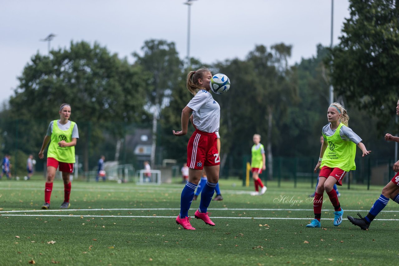 Bild 243 - C-Juniorinnen HSV - Walddoerfer : Ergebnis: 9:1